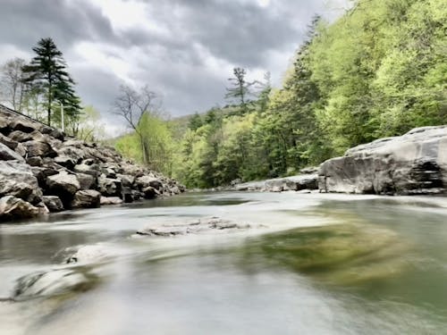 Kostenloses Stock Foto zu berg-fluss, berglicht, bergwald