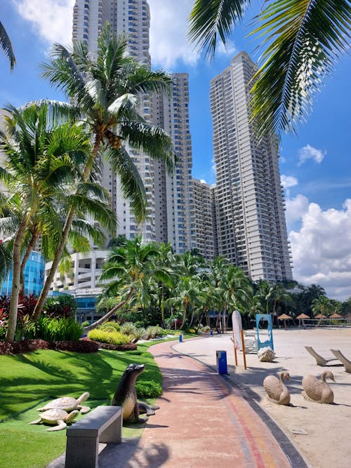 A beach with palm trees and high rise buildings