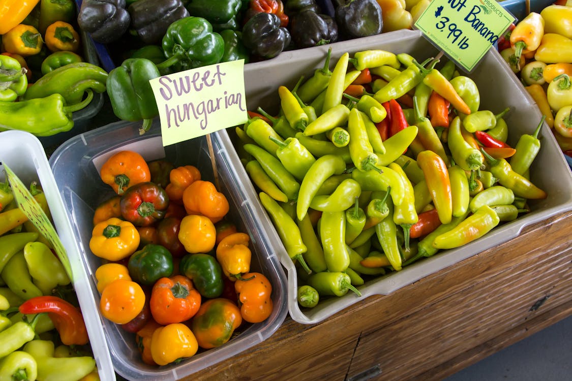 Free Assorted Peppers on Display Stock Photo