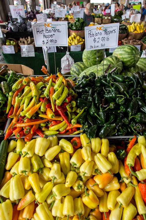 Free Assorted Peppers Lot on Display Stock Photo