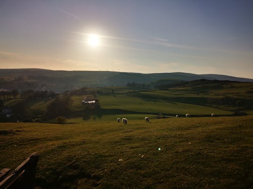 A beautiful evening in the Countryside of Lake district, England