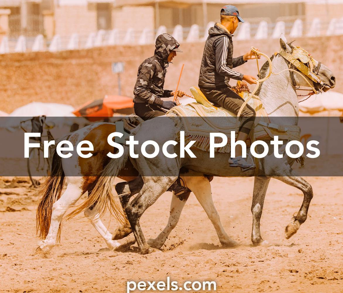 20+ Best Lasso Photos · 100% Free Download · Pexels Stock Photos