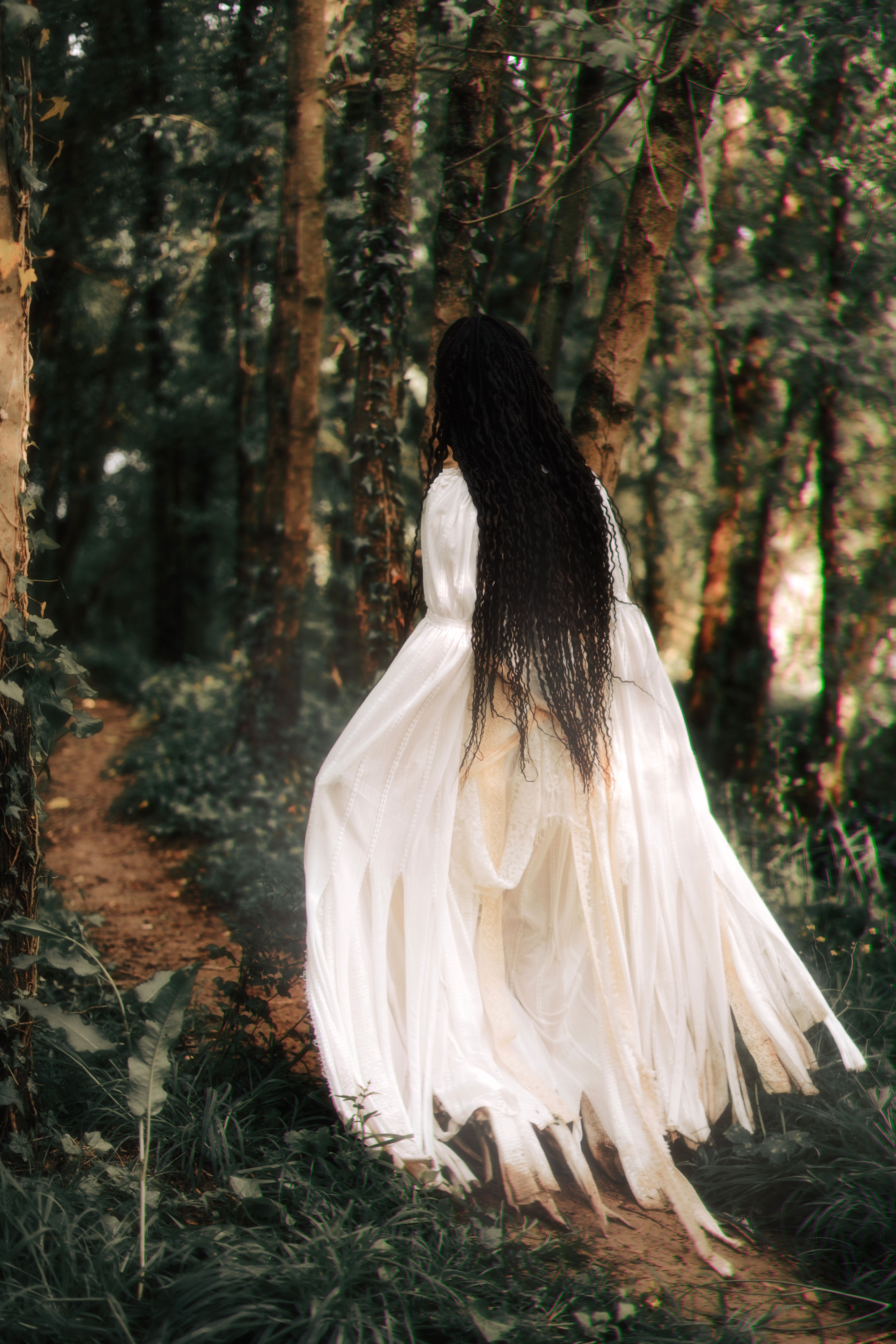 Back View of a Woman in a White Dress Walking in a Forest  Free Stock Photo