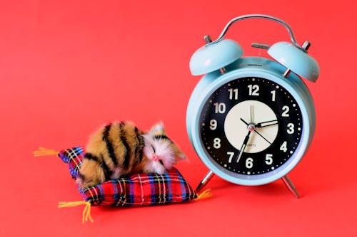 Безкоштовне стокове фото на тему «будильник, веселий, годинник»