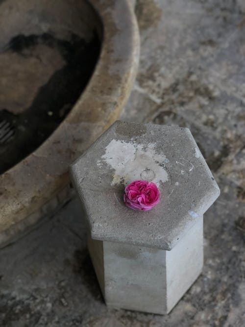 A pink flower sits on top of a cement block