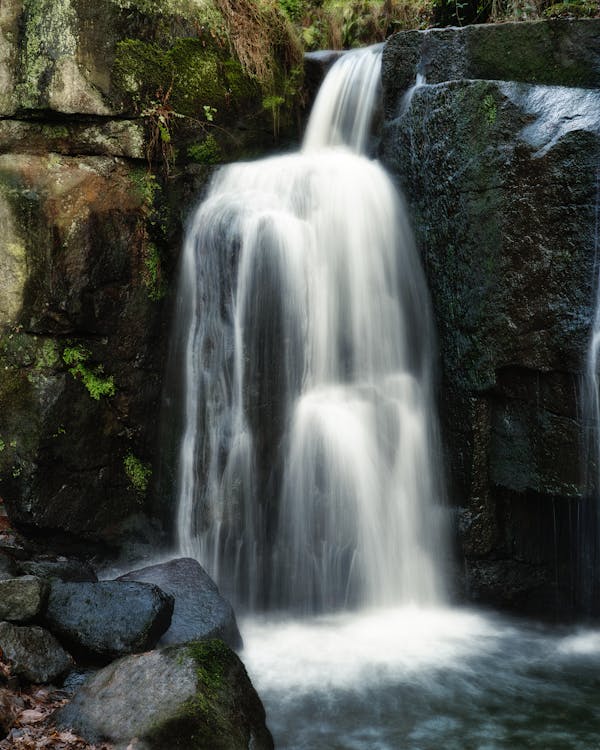 A waterfall is shown in a forest