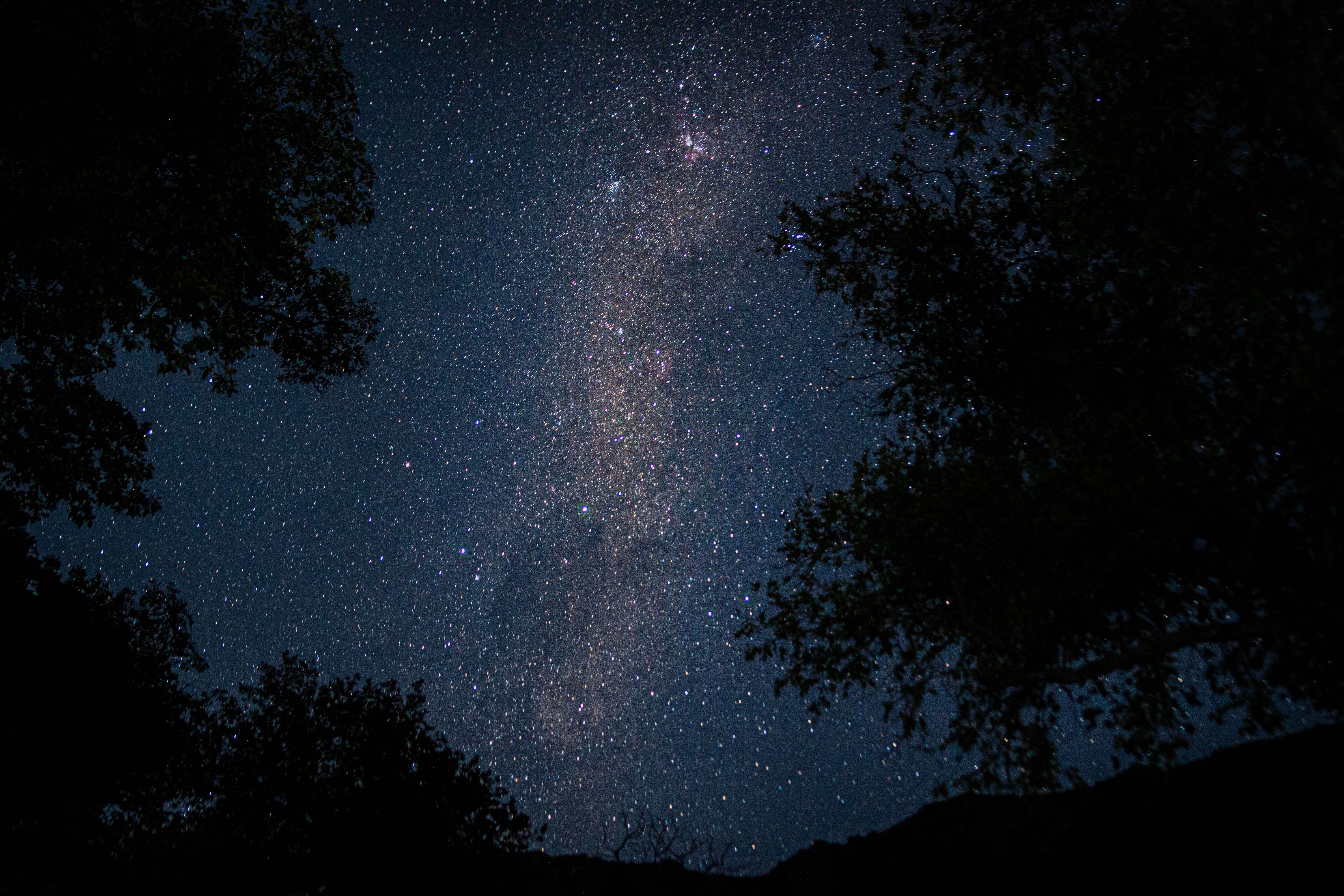 Silhouette of Trees under Starry Sky with Visible Milky Way · Free ...
