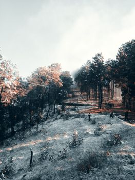 A tranquil winter scene with snow-covered trees and people in Godawari.