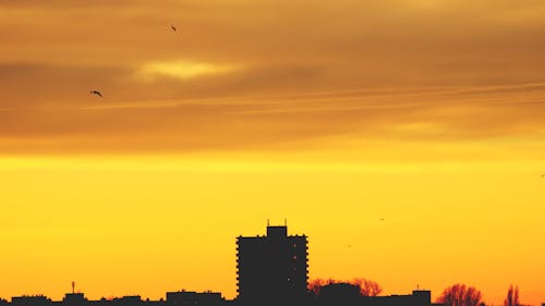 Gratis lagerfoto af bagbelyst, bygninger, himmel