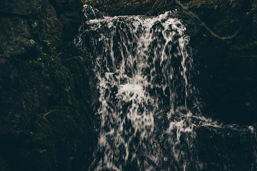 在幽暗而茂密的森林中，一道宁静的瀑布从长满青苔的岩石上倾泻而下
