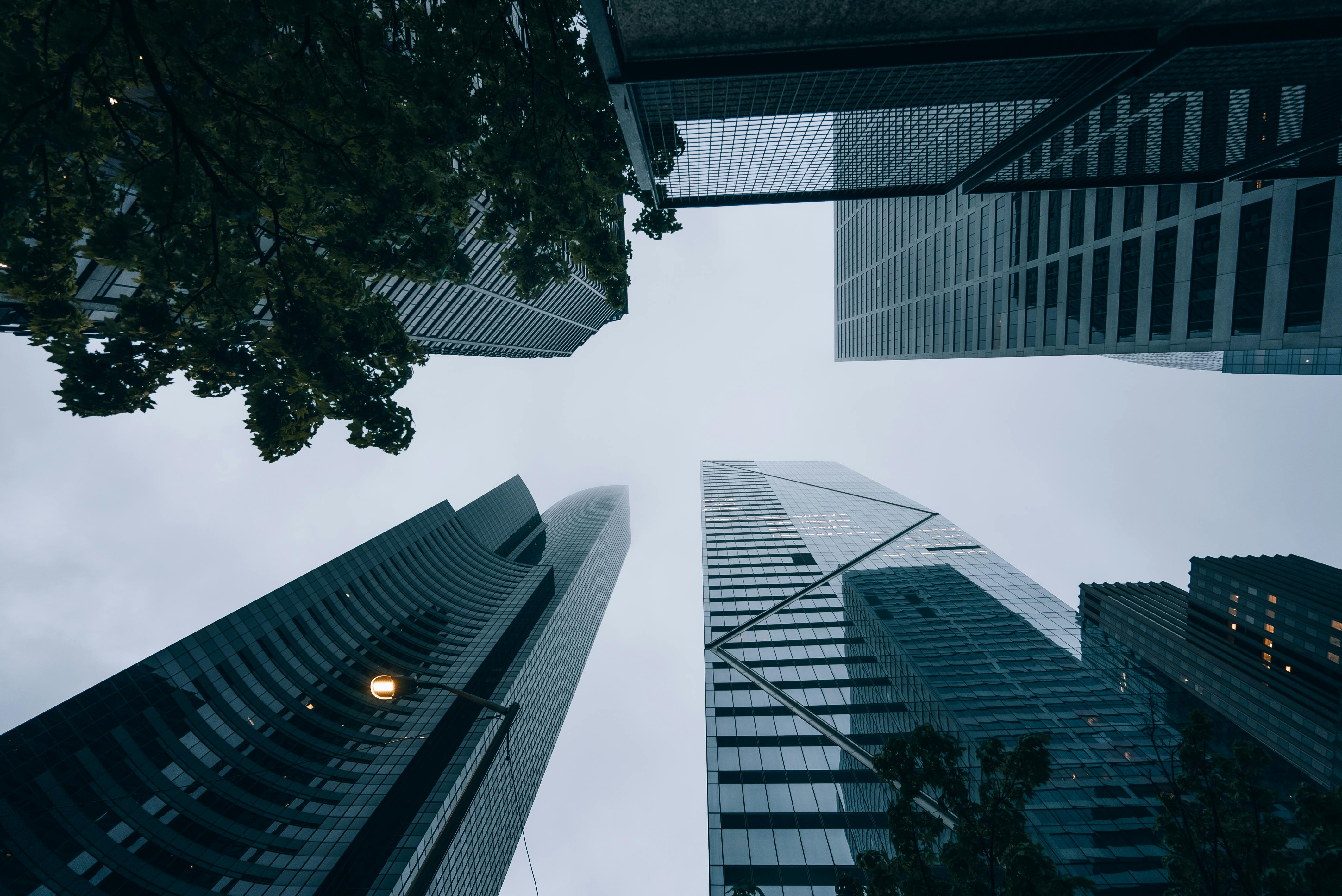 IT and Environmental, Social, and Corporate Governance (ESG), Part One: A CEO and Board Concern — Photo by Josh Hild on Pexel