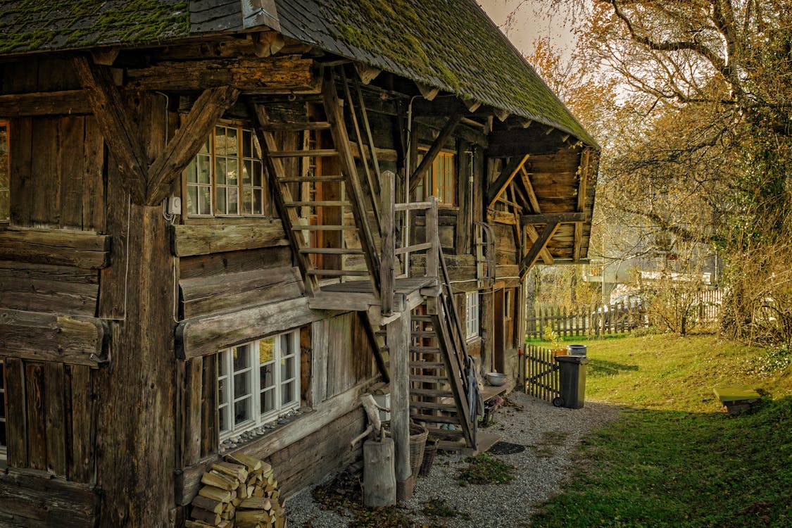 Casa In Legno Marrone Vicino All'albero