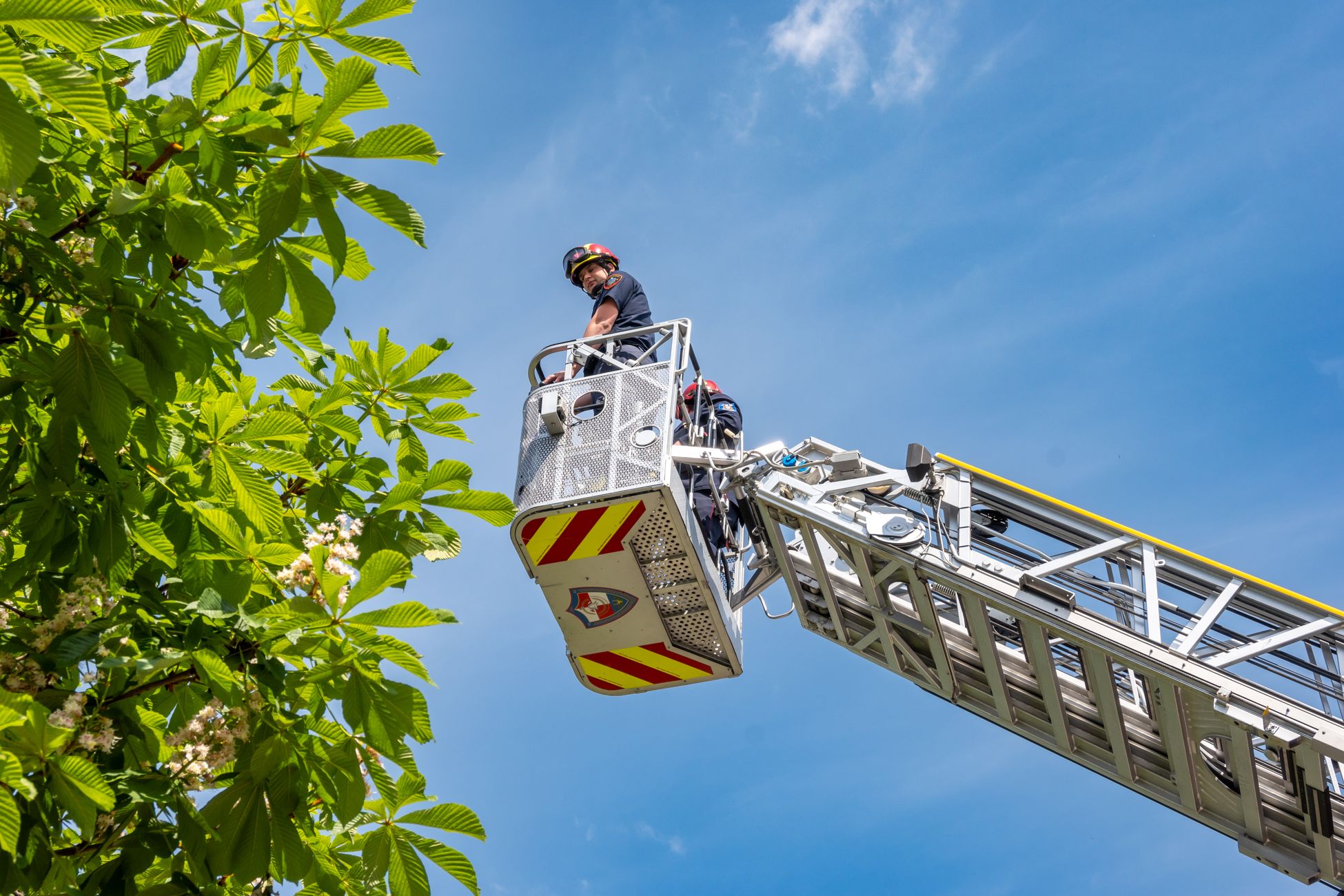 Brandweer redt baby-eendjes uit rooster in Weert