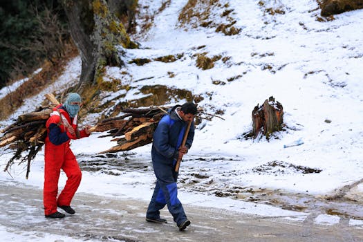两名身着冬装的男子在白雪皑皑的风景中搬运柴火，展现了坚韧与团队合作的精神