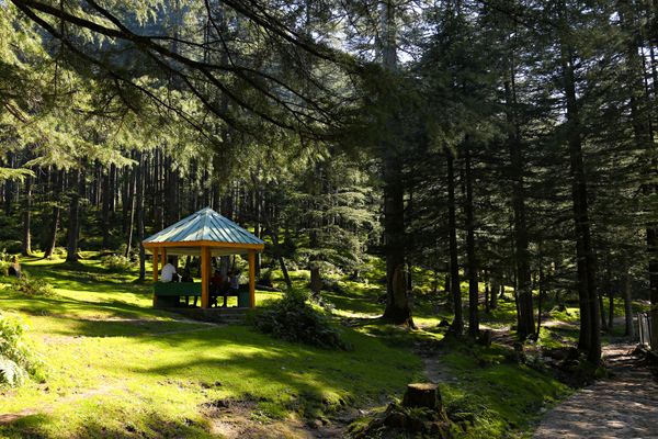Dhanaulti Eco Park Tour
