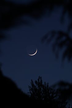 A crescent moon shining brightly against a dark night sky framed by tree silhouettes.