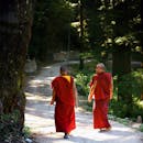 白天，两名身着红色长袍的佛教僧侣穿过宁静的森林小径