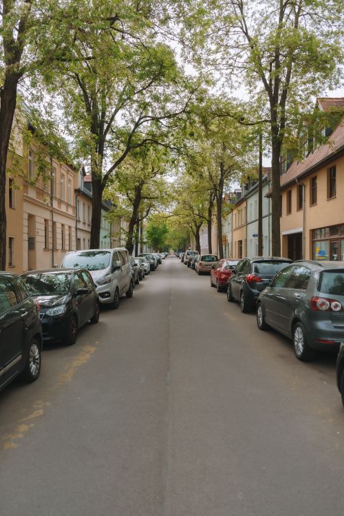 Free A peaceful city street lined with parked cars and lush trees, creating a classic urban scene. Stock Photo