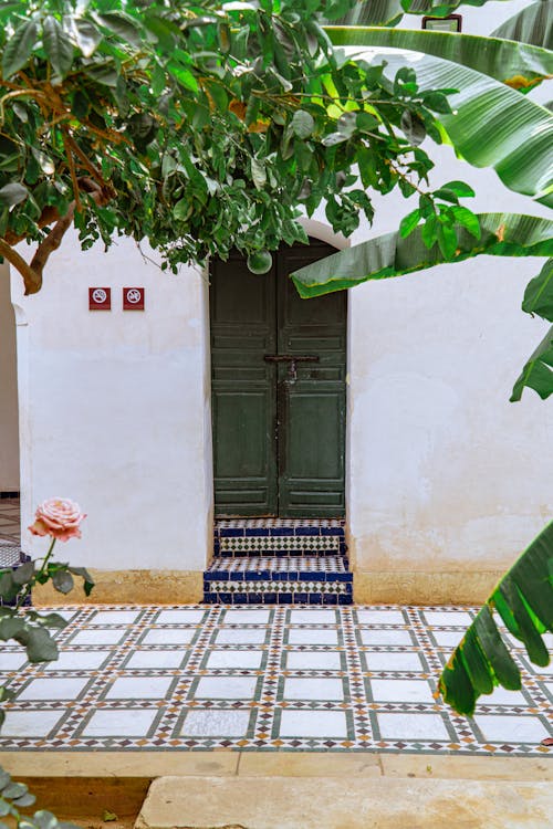 Fotos de stock gratuitas de árbol, blanco, casa