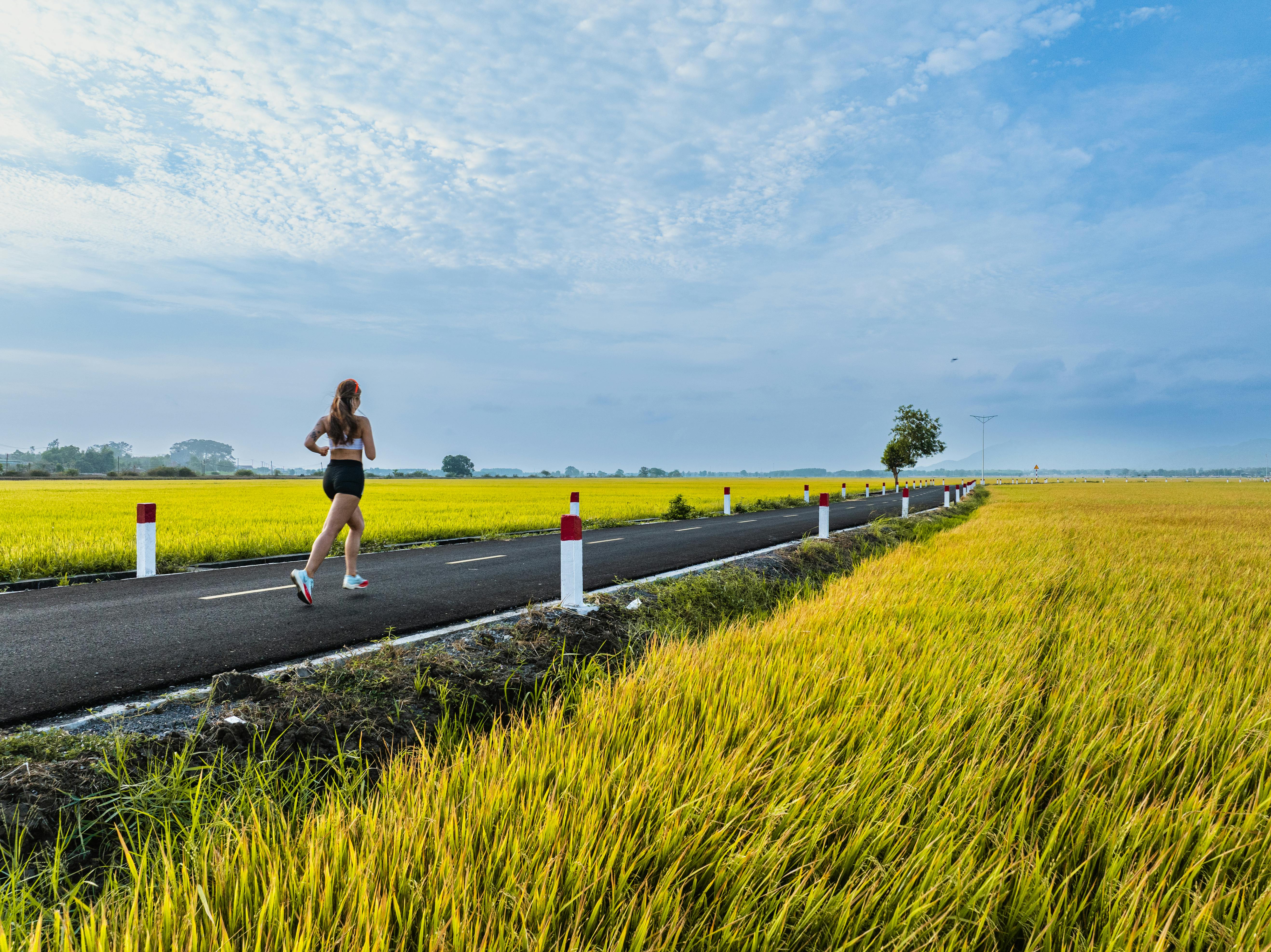 general lifestyle survey — Photo by VANNGO Ng on Pexels