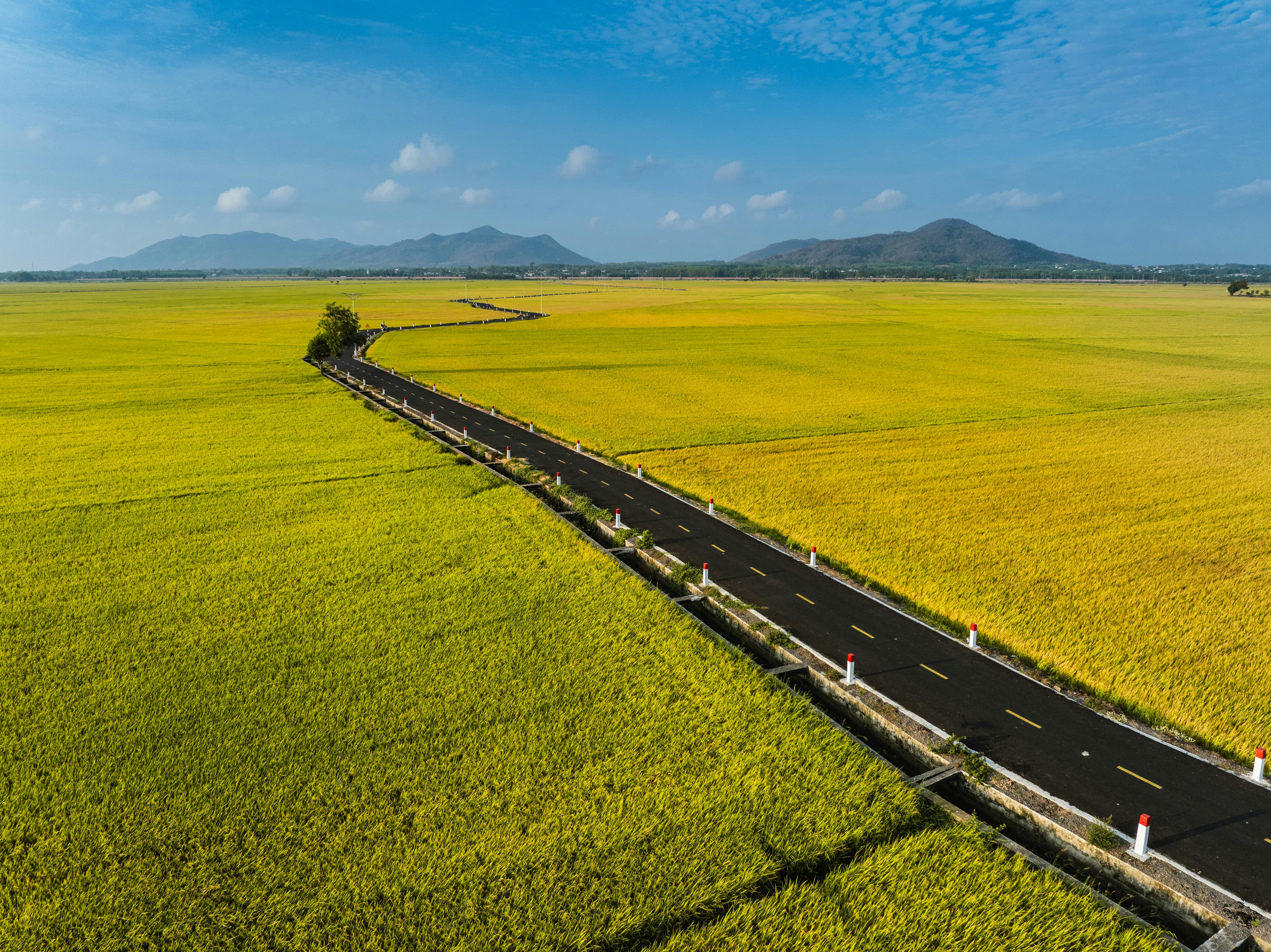 Featured image for: How Belt and Road Initiative Countries Drive Cultural Exchange: A Case Study