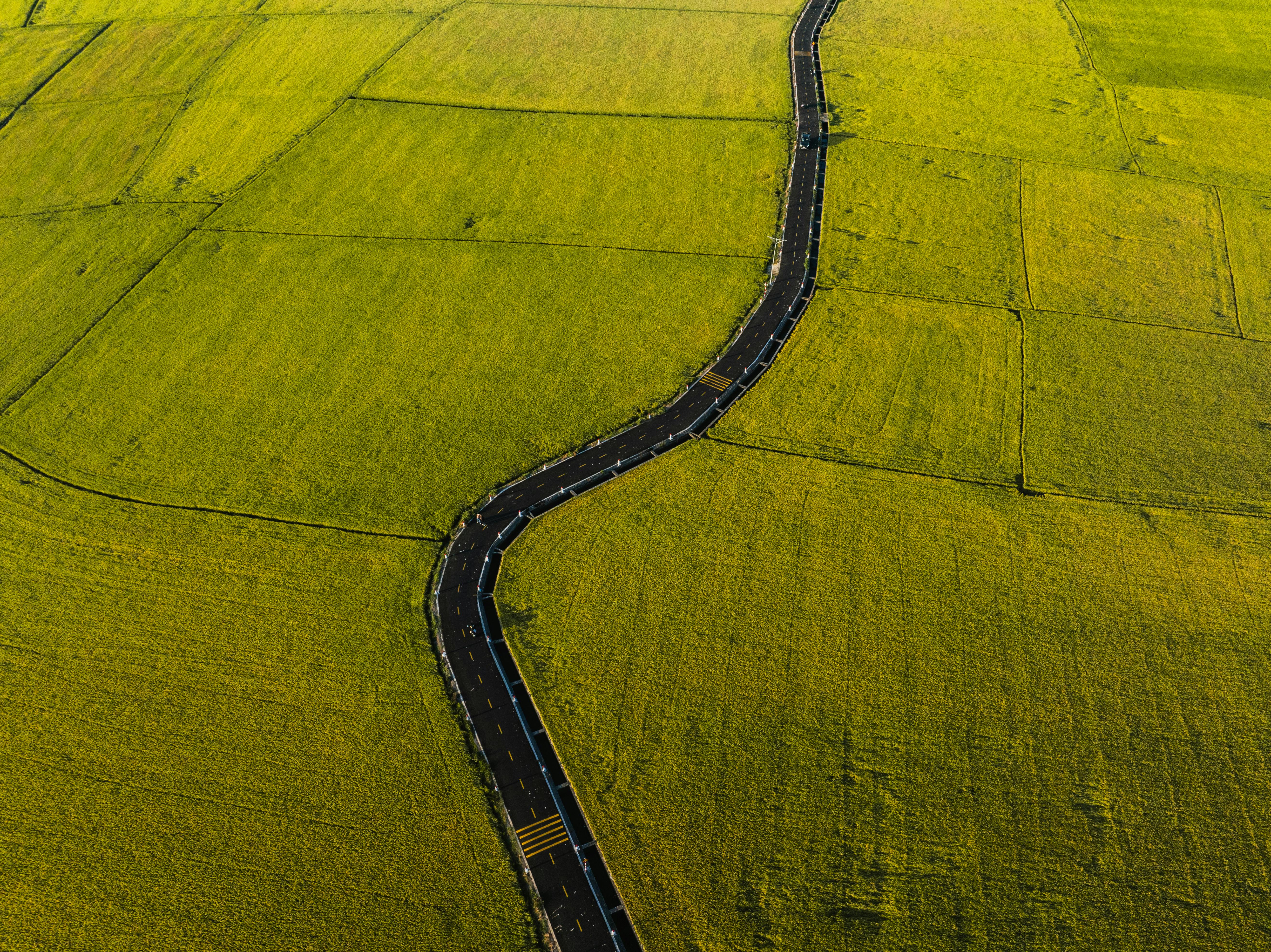 The green mile: charting the bumpy road to sustainable urban mobility — Photo by VANNGO Ng on Pexels