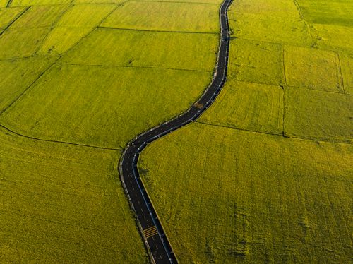 Free Drone captures a winding road cutting through lush green fields, showcasing rural landscape. Stock Photo