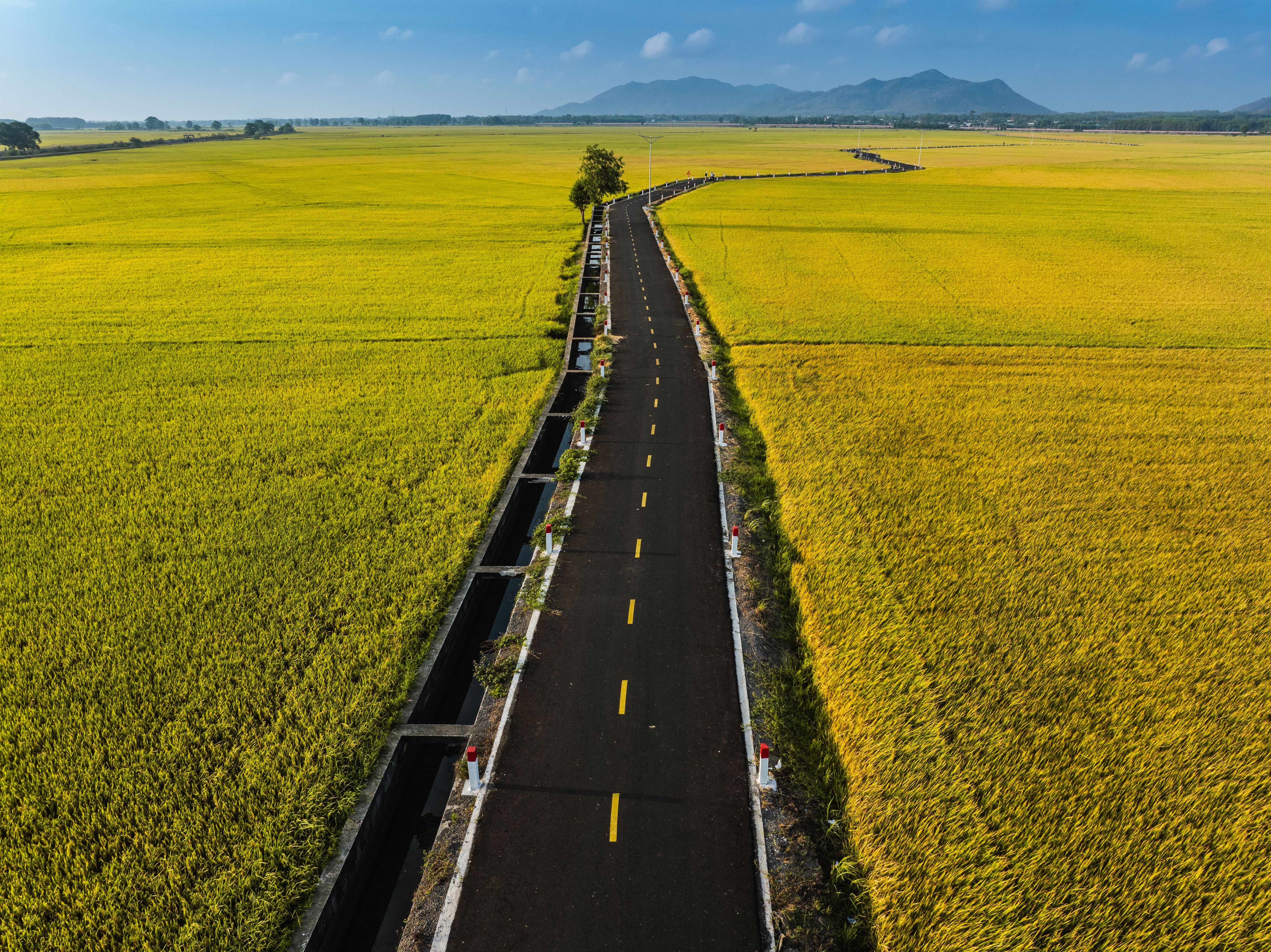 Featured image for: 7 Myths About Belt and Road Initiative Countries Economic Impact—Debunked