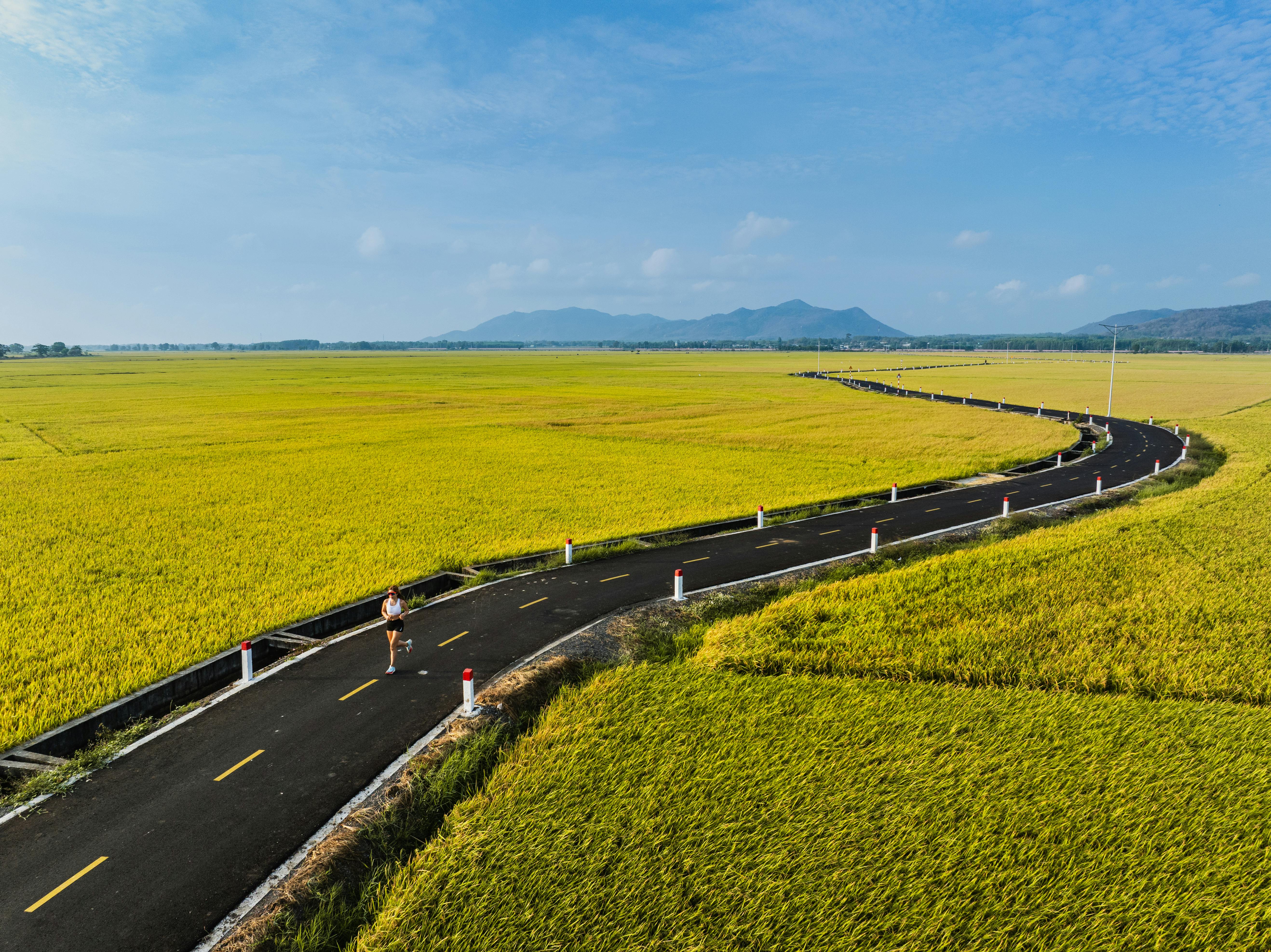 Featured image for: Belt and Road Initiative Countries Cultural Exchange: Key Opportunities and Impact