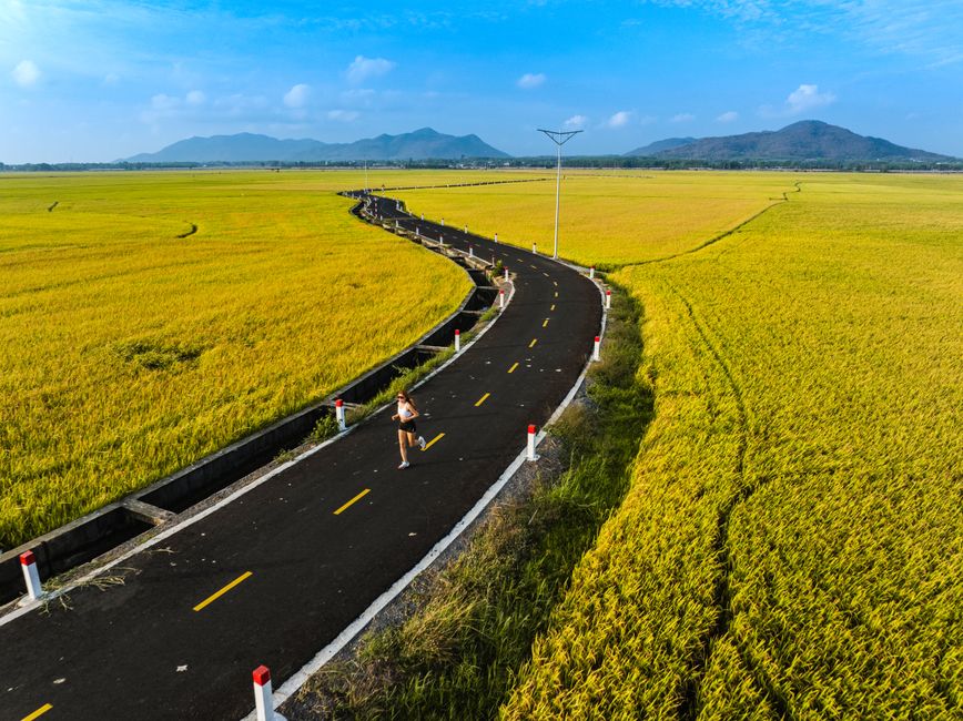 An aerial shot of a woman jogging on a winding road surrounded by expansive yellow croplands.