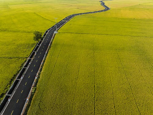 An aerial view of a road in a field