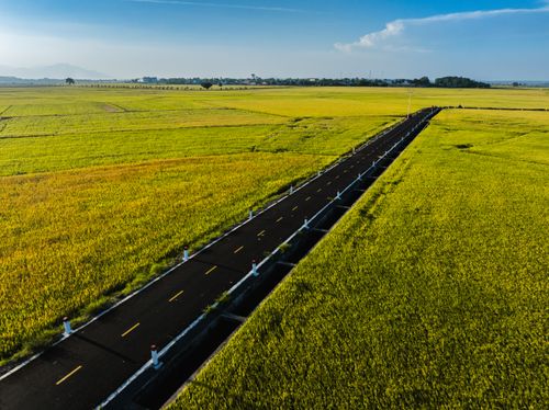 Free Drone captures a stunning road slicing through lush green fields under a clear blue sky. Stock Photo