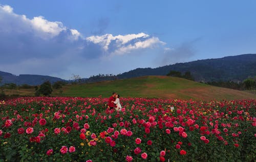 A woman is standing in the middle of a field of flowers