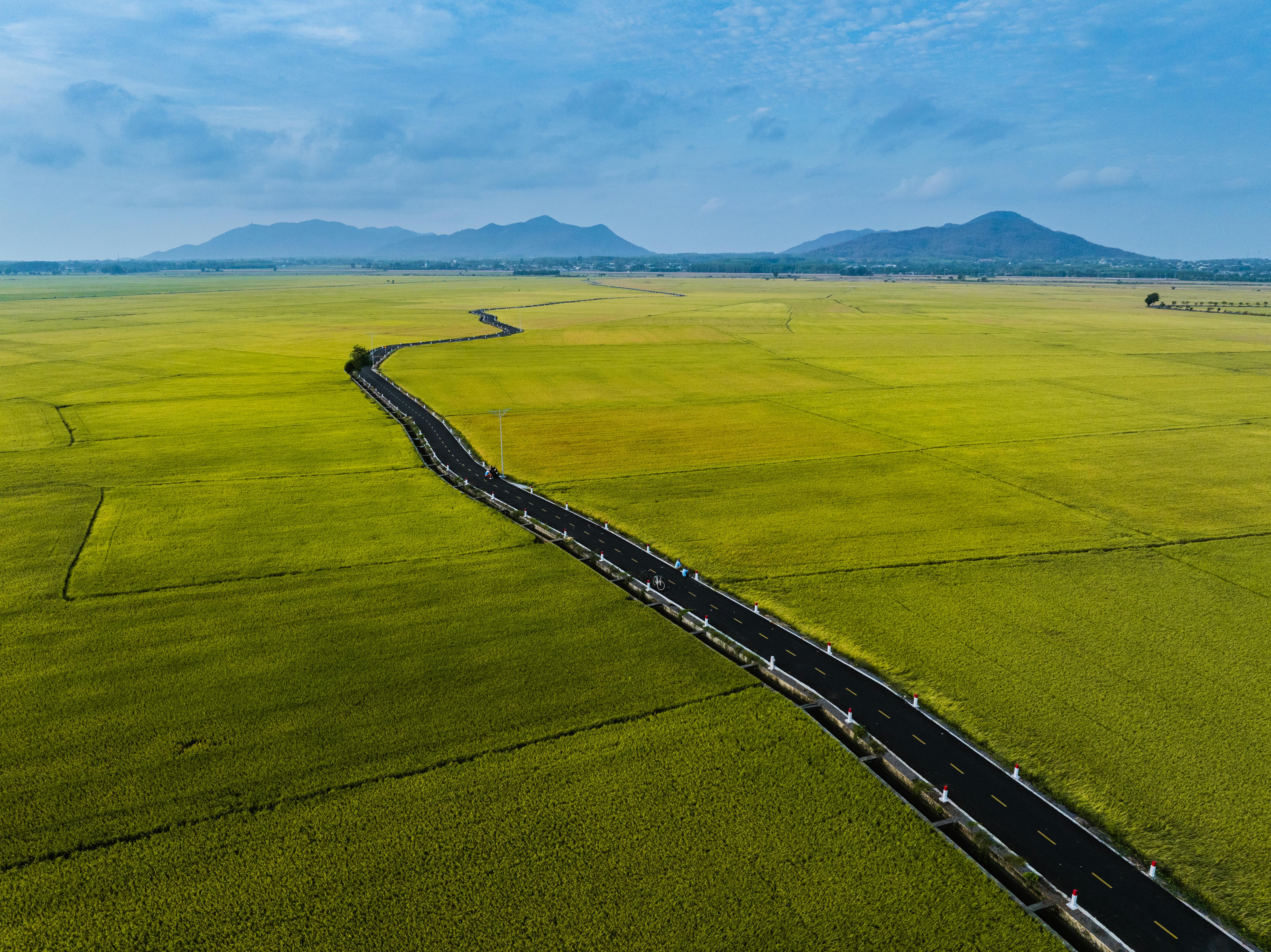 Featured image for: 7 Data‑Driven Insights into Belt and Road Initiative Countries Diplomatic Relations