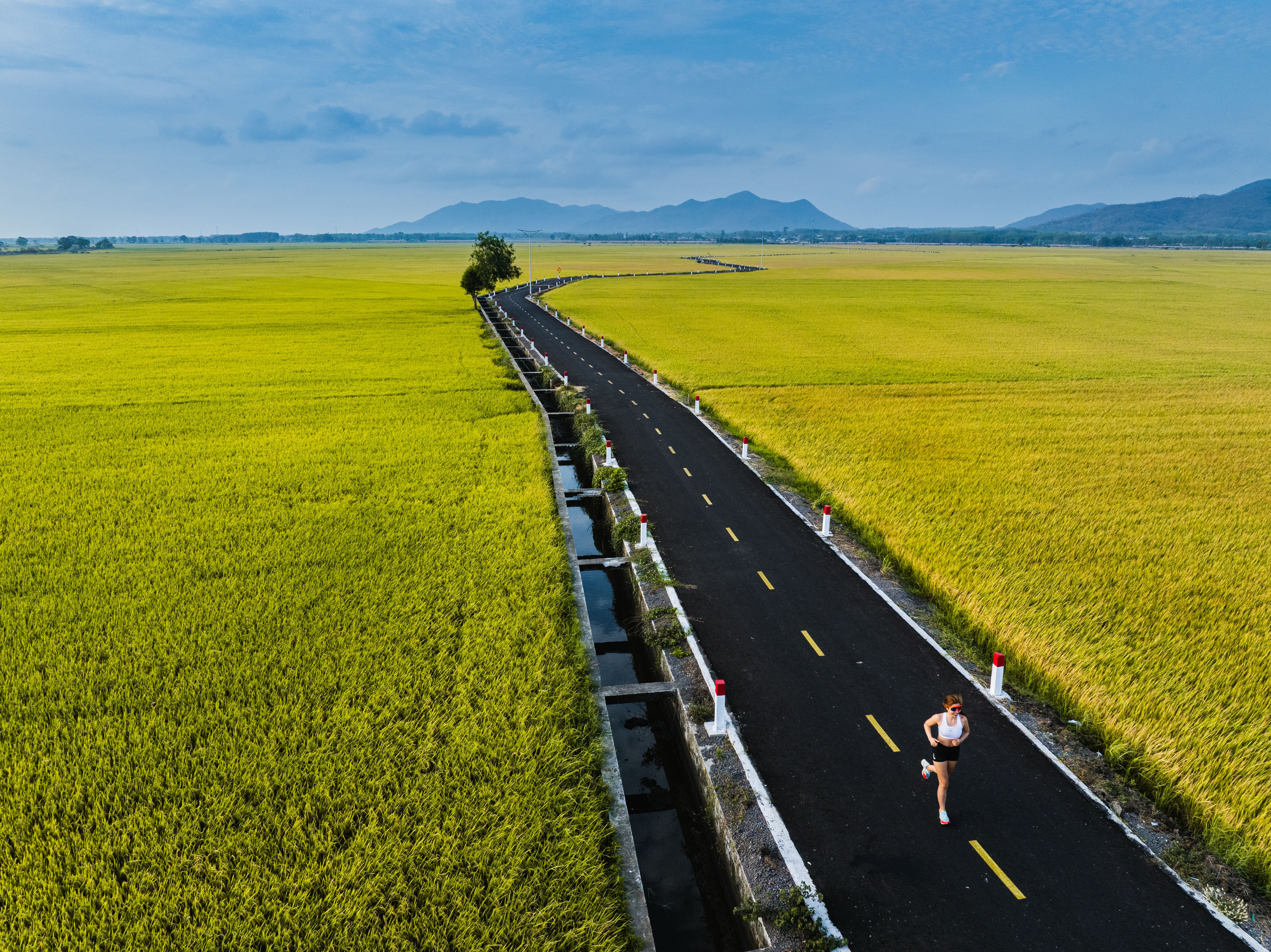 A woman jogs on a rural road surrounded by lush green fields under a clear sky.