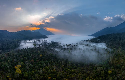 A sunrise over a forested valley with fog