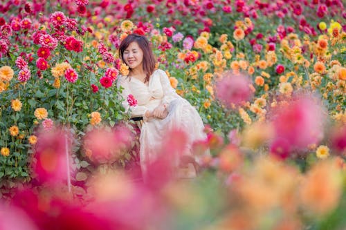 A woman sitting in a field of flowers