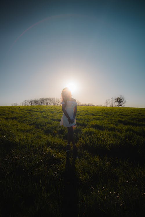 Fotos de stock gratuitas de al aire libre, amanecer, árbol