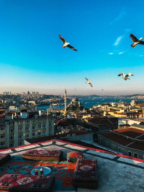 Spectacular rooftop view of Istanbul with seagulls flying over the Bosphorus at dawn.