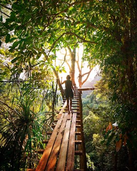 漫步在泰国充满活力的绿色森林桥上，开启一段冒险之旅