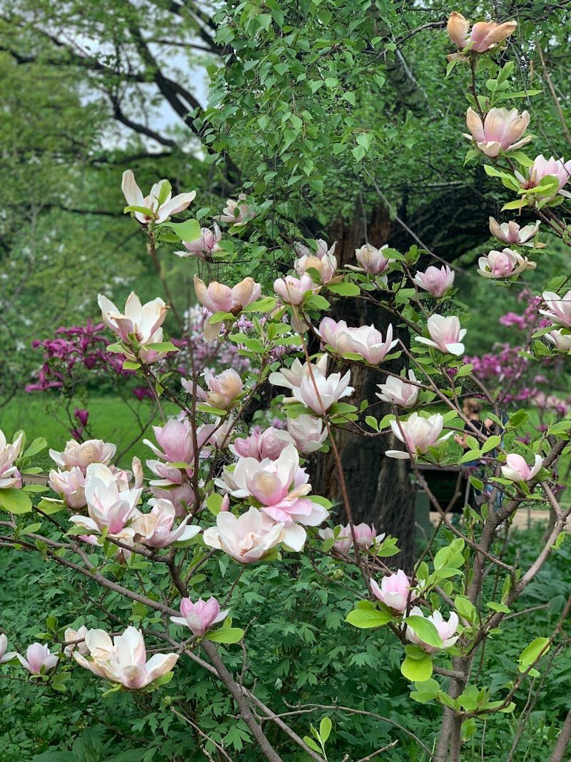 Planificare traseu în grup la o masă cu hărți