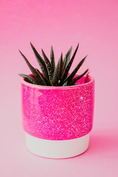 粉红色的闪光锅中盛放着彩色多汁植物，是现代装饰的完美选择