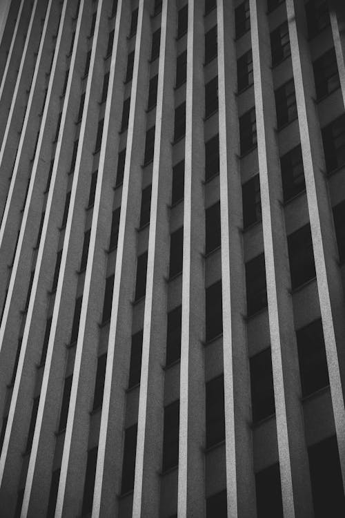 무료 건물의 회색조 사진 스톡 사진