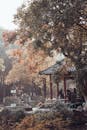 Pagoda in an Asian Park in Fall
