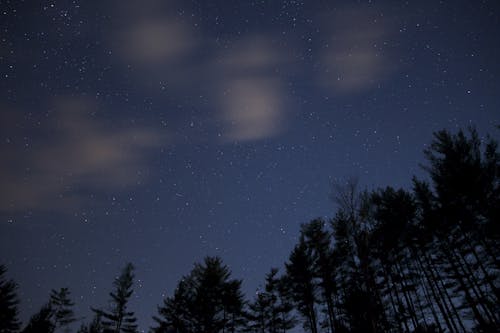Gratis lagerfoto af himmel, mørk, nat Lagerfoto