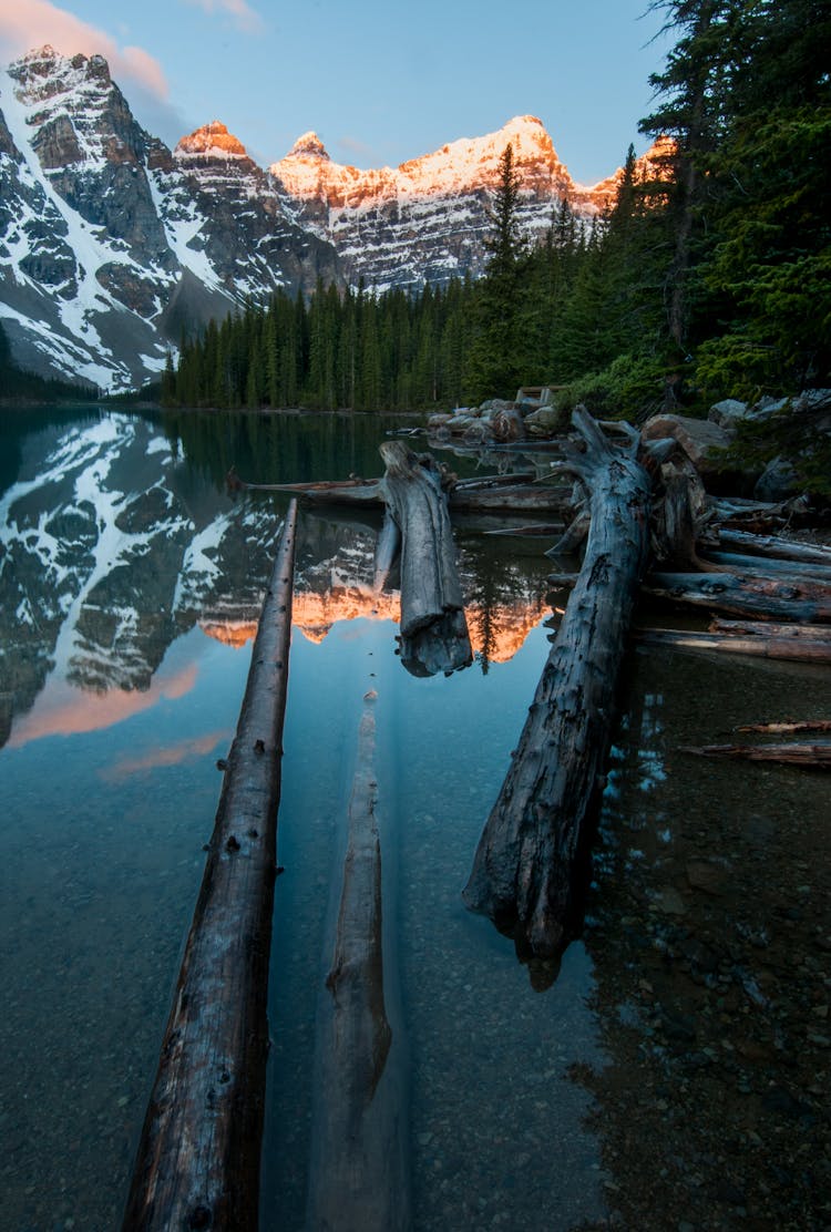 Body Of Water Near Trees