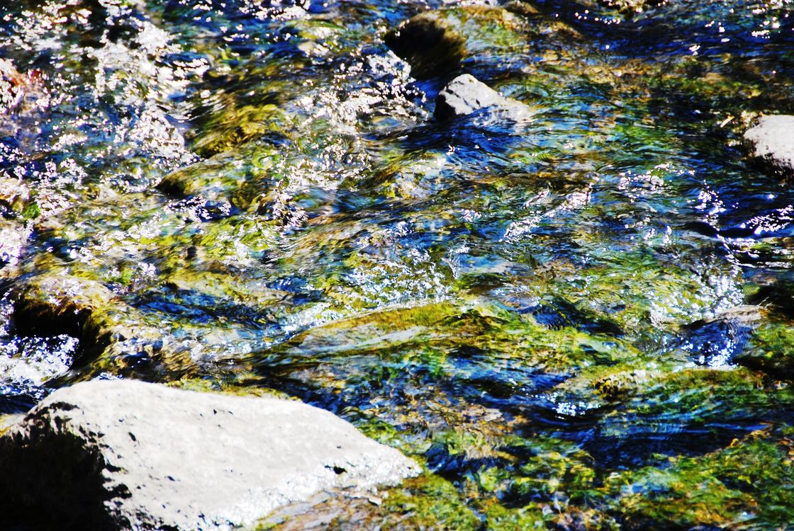 Free stock photo from Jeffrey · Pexels