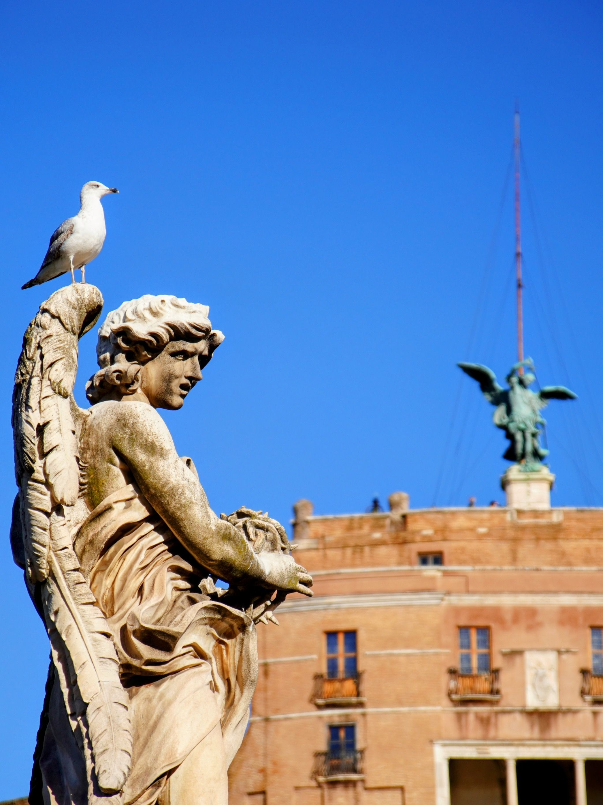 Seagull perched on angel statue with Castel Sant'Angelo in background, Rome.