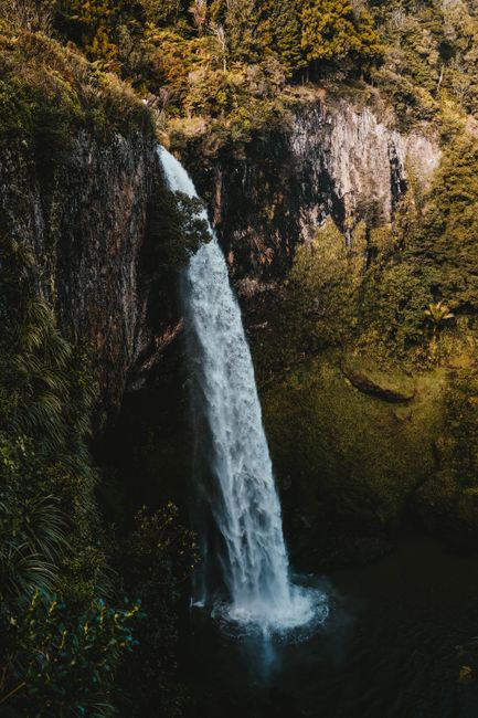 Captivating waterfall cascading into a serene pool surrounded by dense greenery and mossy rocks.