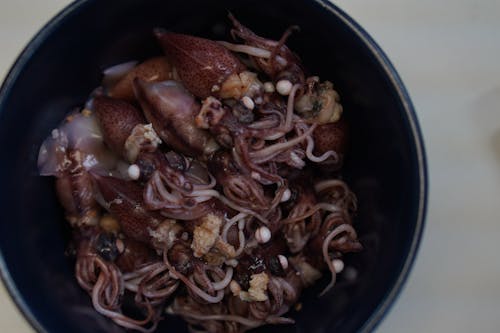 Japanese squid food